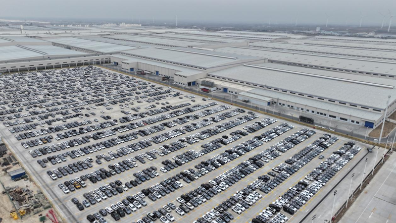 新下線的比亞迪整車在汽車產(chǎn)業(yè)城內(nèi)整齊停放。徐聰攝