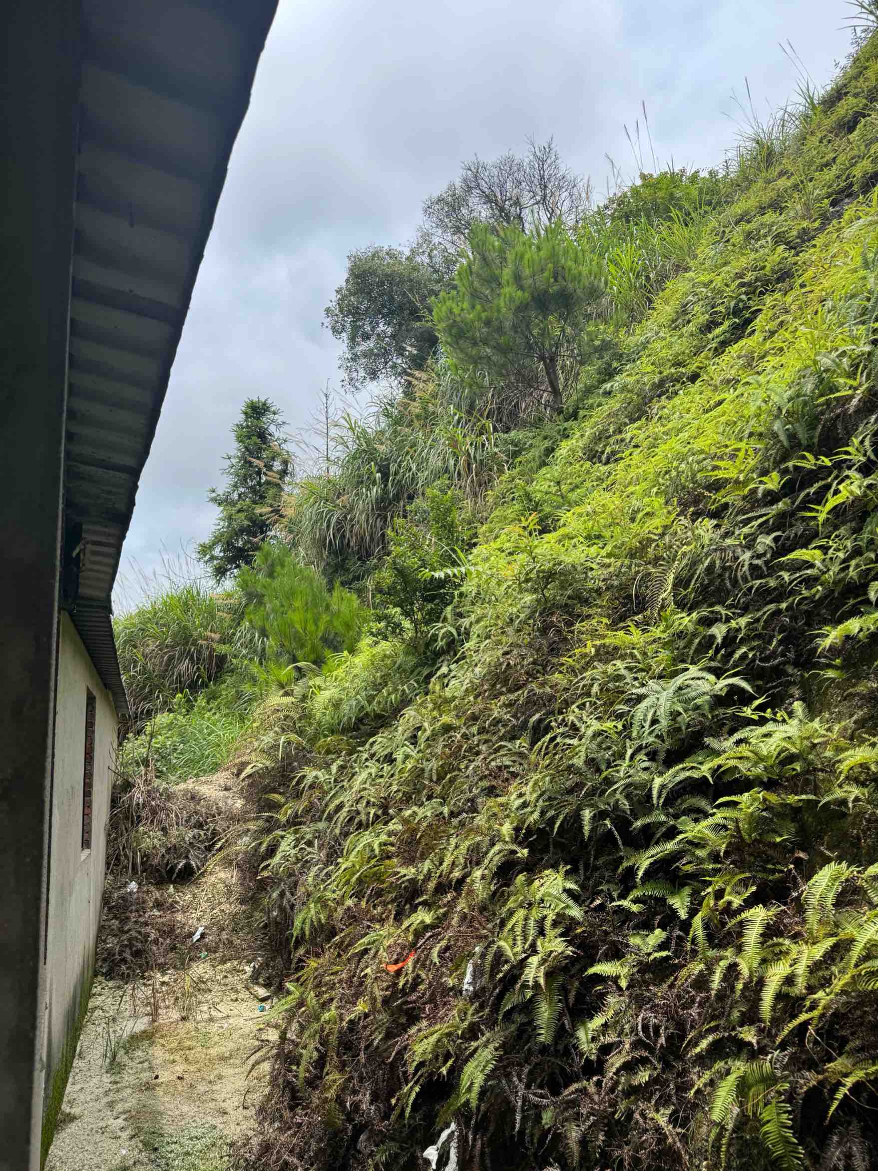 村民謝澤民所居住的房屋。受訪者供圖