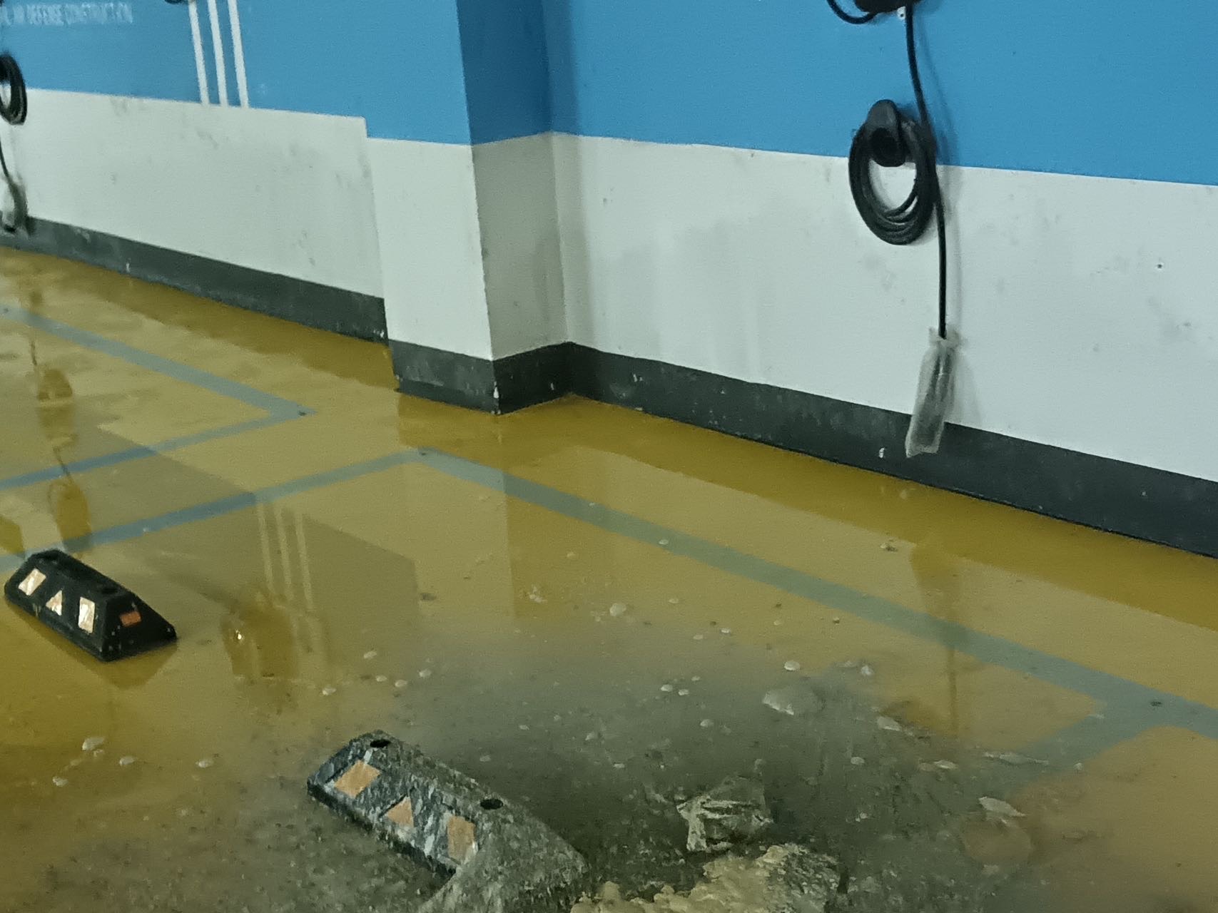 胡女士所在小區(qū)地下室積水嚴(yán)重。受訪者供圖