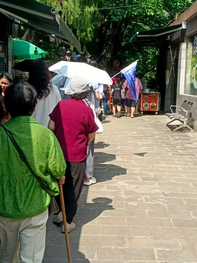 景區(qū)出入口處因?yàn)閾矶屡牌痖L(zhǎng)隊(duì)。受訪者供圖